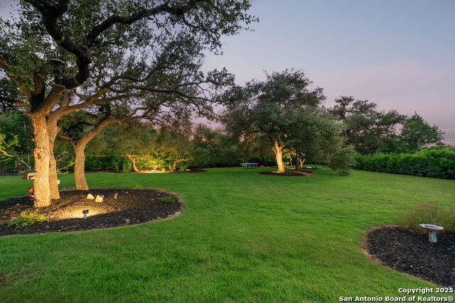 Listing photo id 48 for 203 Wellesley Landing