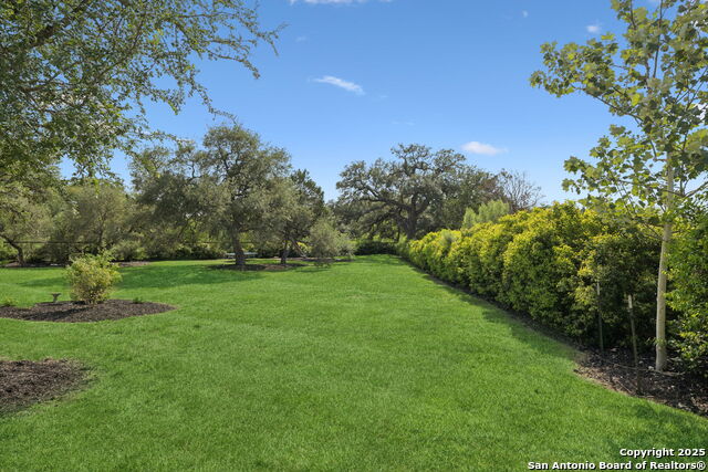 Listing photo id 49 for 203 Wellesley Landing
