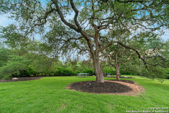 Listing photo id 50 for 203 Wellesley Landing