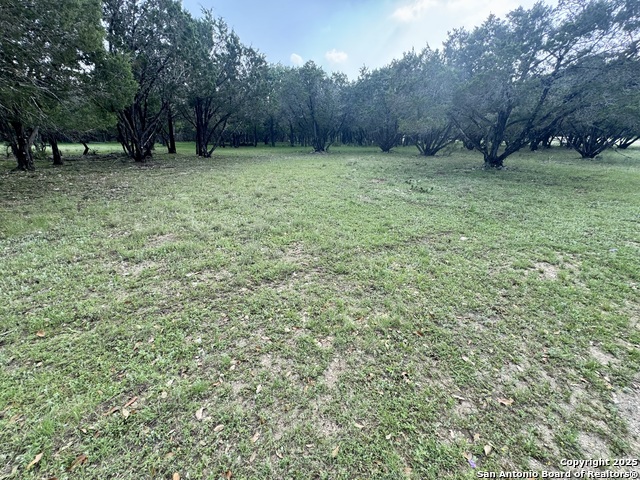 Details for 1160 Whispering Water, Spring Branch, TX 78070
