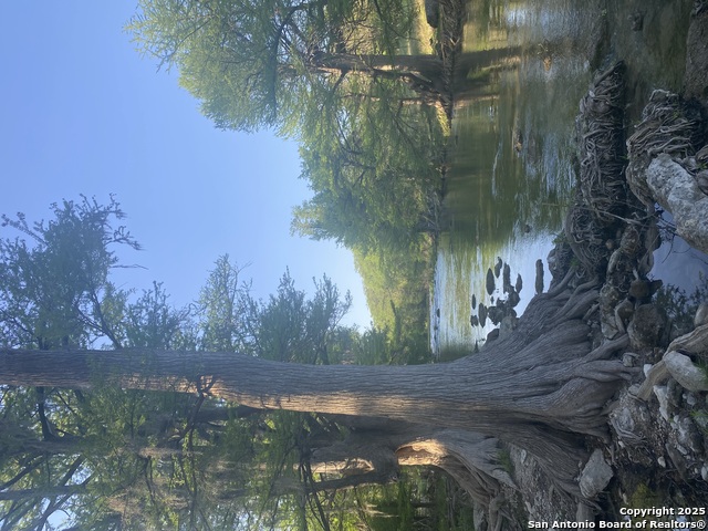 Listing photo id 9 for 1160 Whispering Water