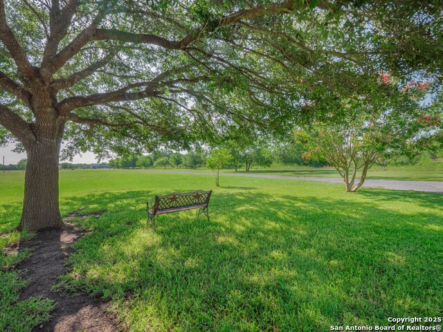 Listing photo id 33 for 658 Lakeview Dr
