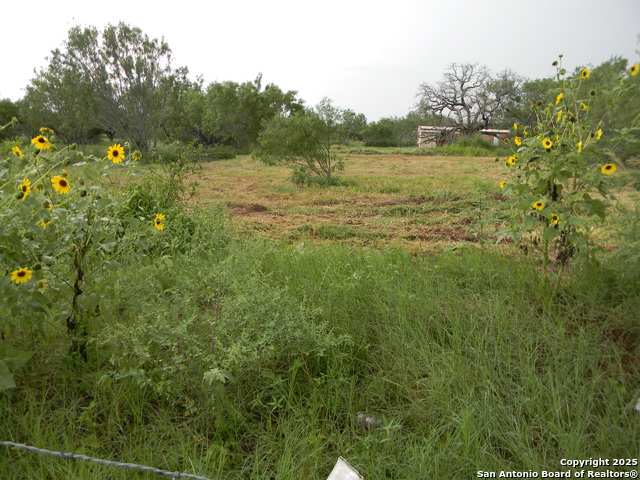 Details for 459 Cecilia  , Pleasanton, TX 78064