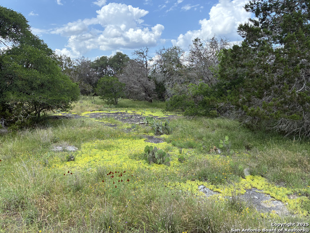 Details for 203 Bluff View, Spring Branch, TX 78070