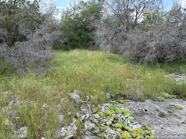 Image 4 of 7 For 203 Bluff View
