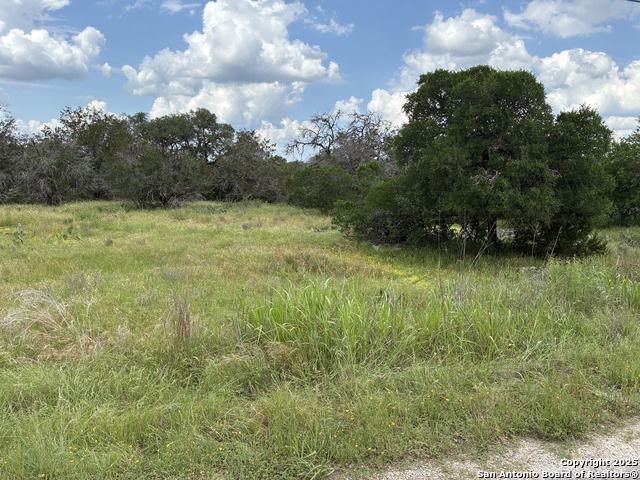 Details for 187 Bluff View, Spring Branch, TX 78070