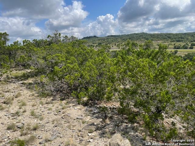 Image 10 of 23 For 280 Geronimo Creek Rd