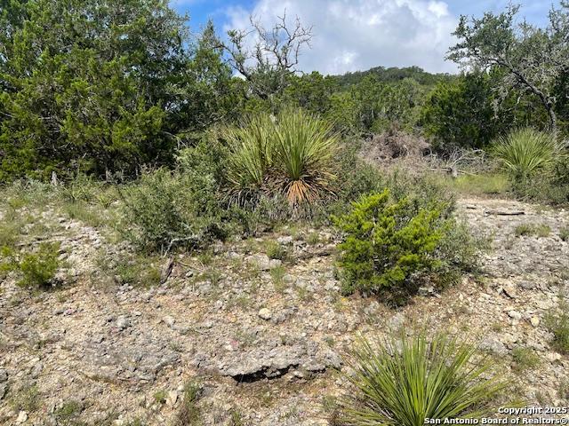 Image 2 of 23 For 280 Geronimo Creek Rd