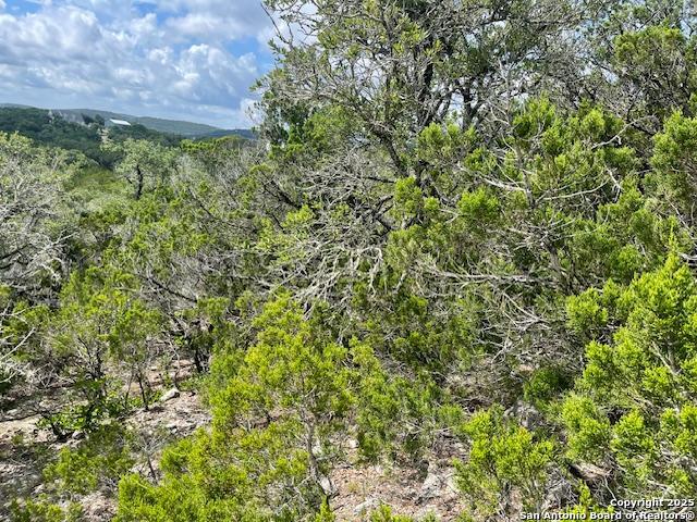 Image 21 of 23 For 280 Geronimo Creek Rd