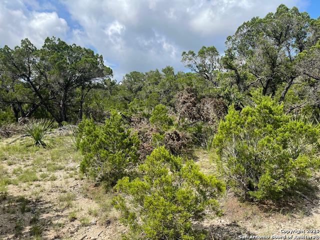 Image 5 of 23 For 280 Geronimo Creek Rd