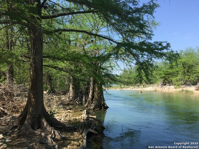 Listing photo id 0 for 172 Bluff