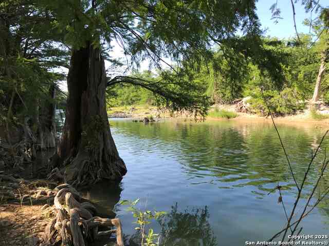 Listing photo id 30 for 172 Bluff
