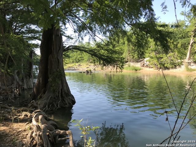 Listing photo id 34 for 172 Bluff