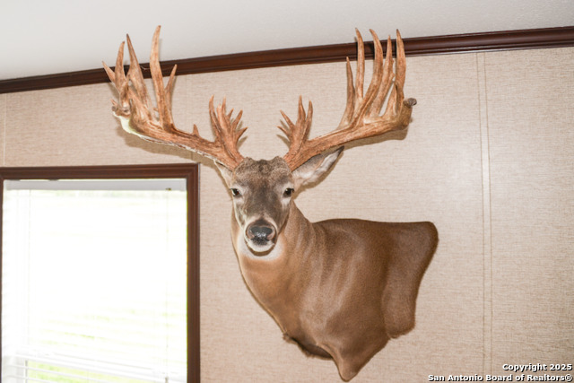 Image 21 of 42 For 00 Tbd