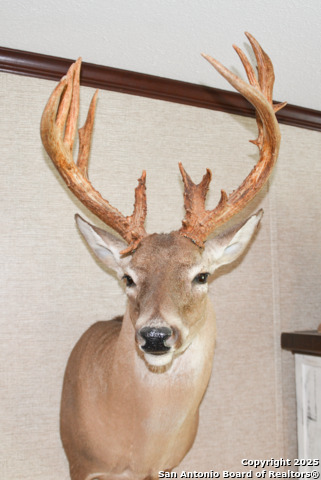 Image 22 of 42 For 00 Tbd