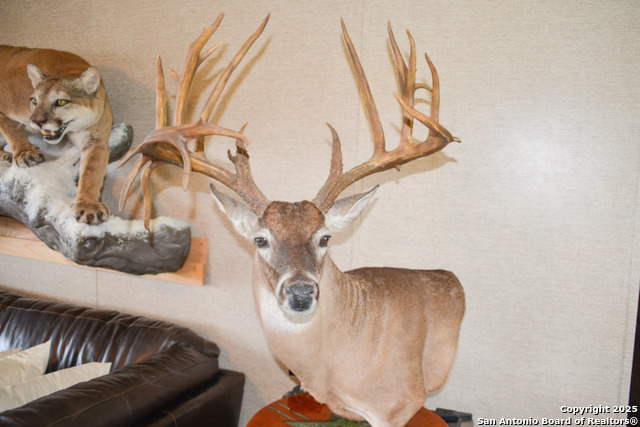 Image 23 of 42 For 00 Tbd