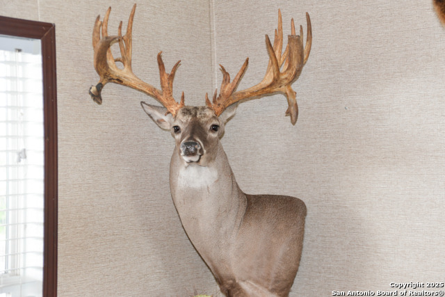 Image 24 of 42 For 00 Tbd