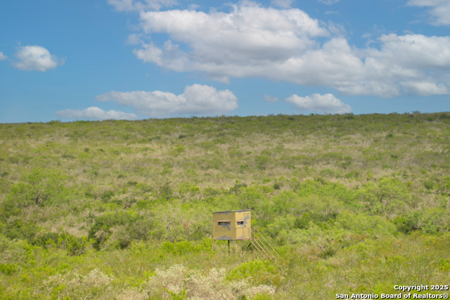 Image 31 of 42 For 00 Tbd