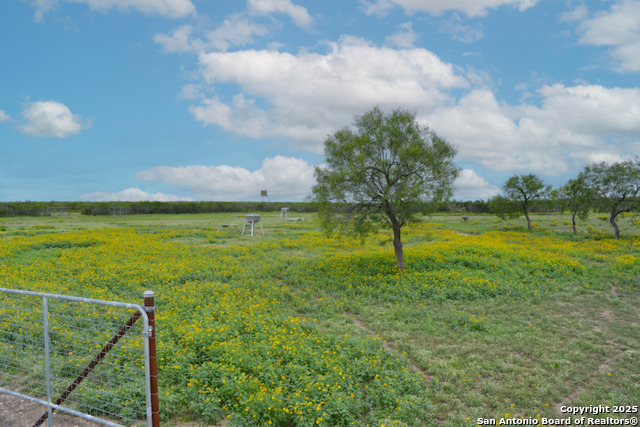 Image 36 of 42 For 00 Tbd