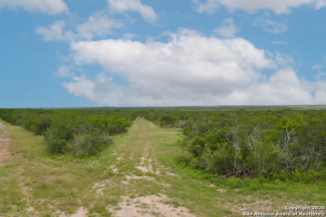 Image 42 of 42 For 00 Tbd