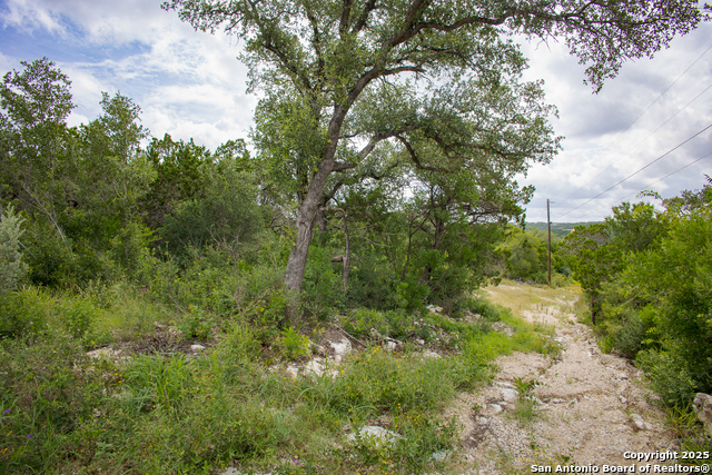 Image 12 of 19 For 199 County Road 2733