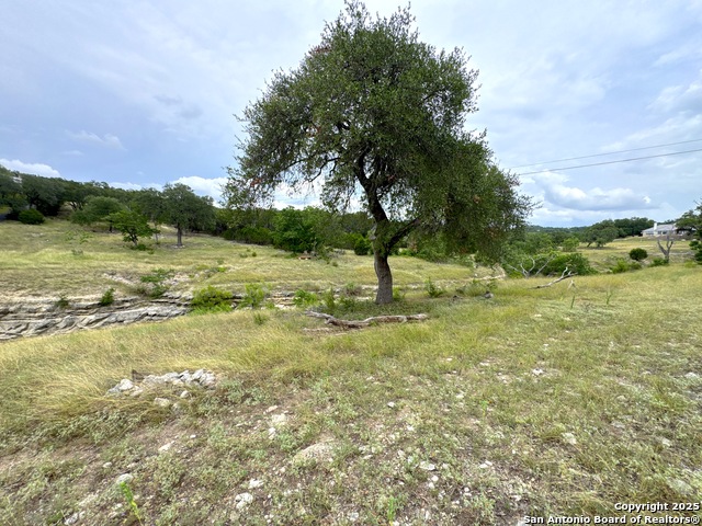 Image 14 of 19 For 659 Spanish Oak Esplanade