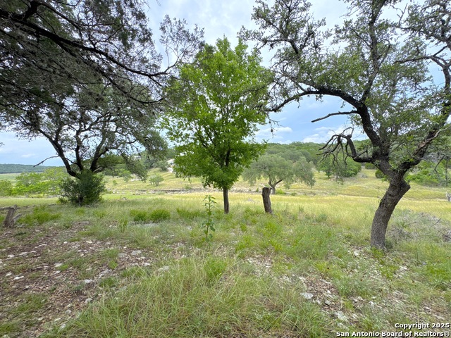 Image 6 of 19 For 659 Spanish Oak Esplanade