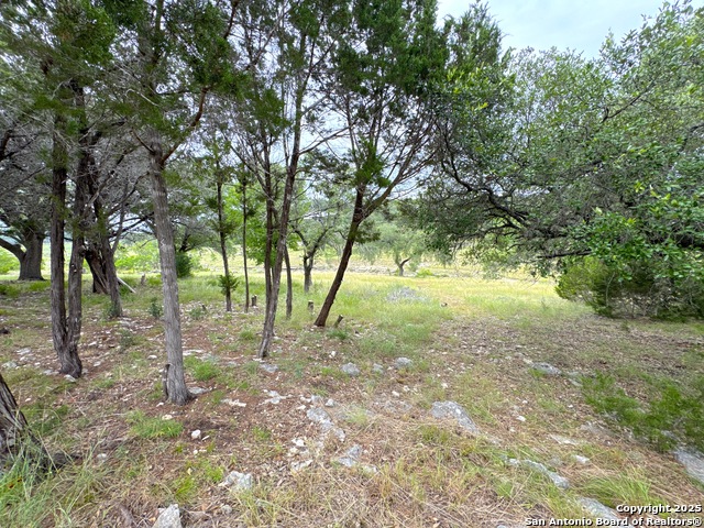 Image 7 of 19 For 659 Spanish Oak Esplanade