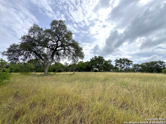 Image 9 of 19 For 659 Spanish Oak Esplanade