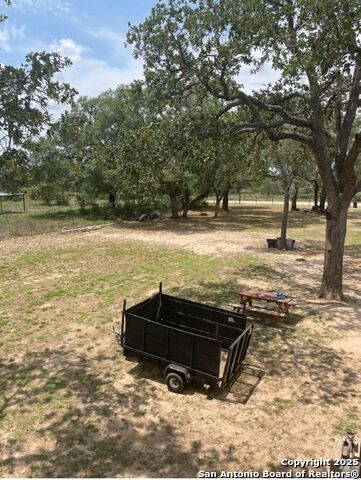 Image 13 of 17 For 1210 Blue Quail