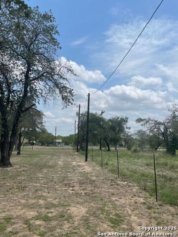 Image 14 of 17 For 1210 Blue Quail