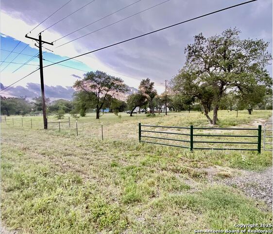 Image 3 of 17 For 1210 Blue Quail