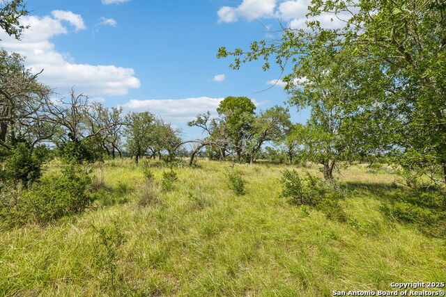 Listing photo id 23 for 000 Seep Springs Drive