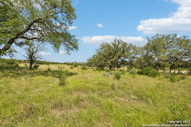 Listing photo id 24 for 000 Seep Springs Drive