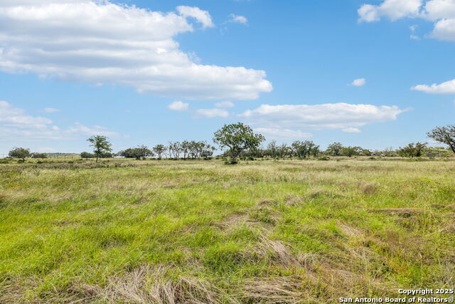 Listing photo id 25 for 000 Seep Springs Drive