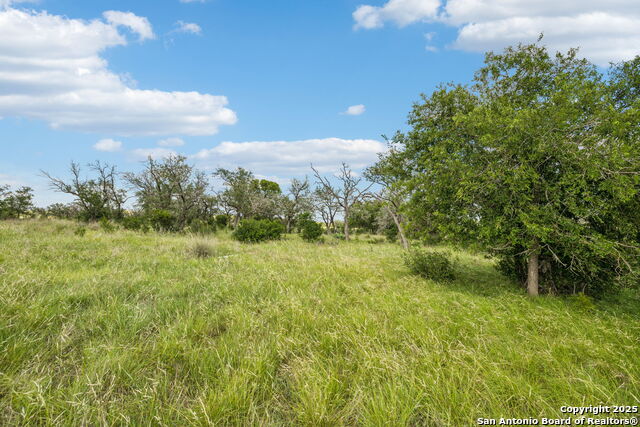 Listing photo id 27 for 000 Seep Springs Drive
