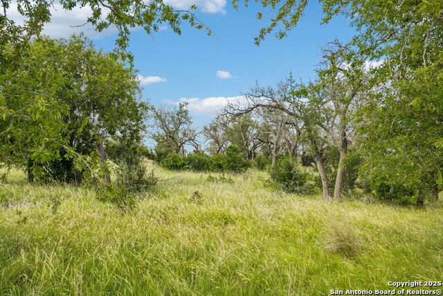 Listing photo id 28 for 000 Seep Springs Drive