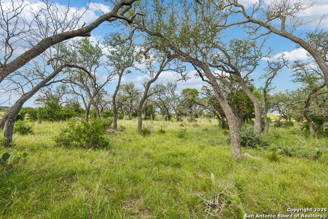 Listing photo id 29 for 000 Seep Springs Drive