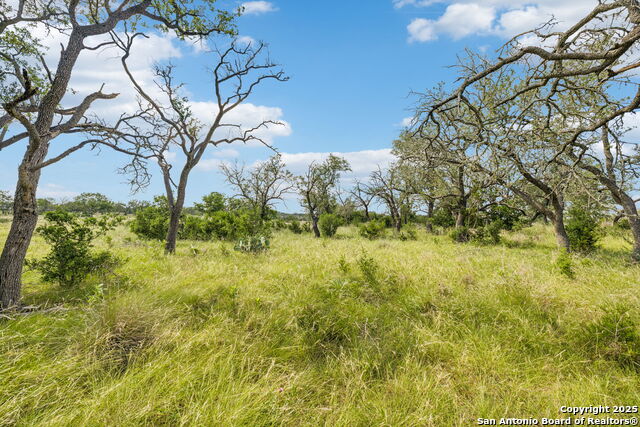 Listing photo id 30 for 000 Seep Springs Drive