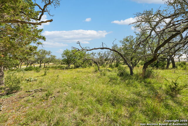 Listing photo id 31 for 000 Seep Springs Drive