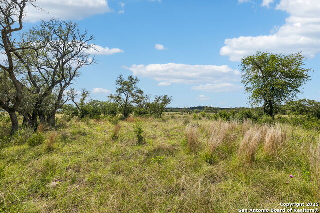 Listing photo id 32 for 000 Seep Springs Drive