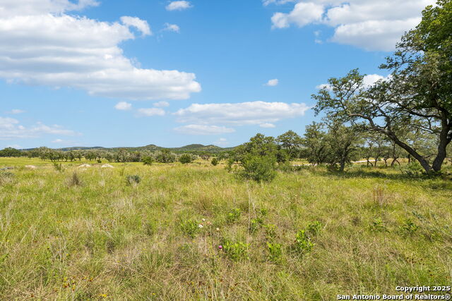Listing photo id 33 for 000 Seep Springs Drive
