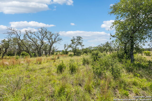Listing photo id 34 for 000 Seep Springs Drive