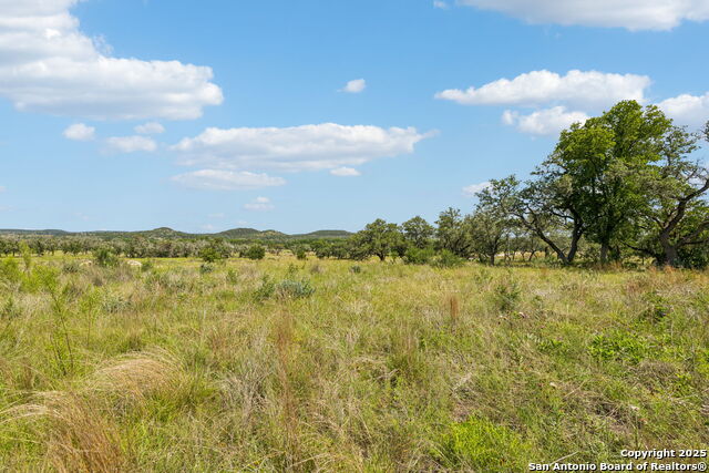 Listing photo id 35 for 000 Seep Springs Drive