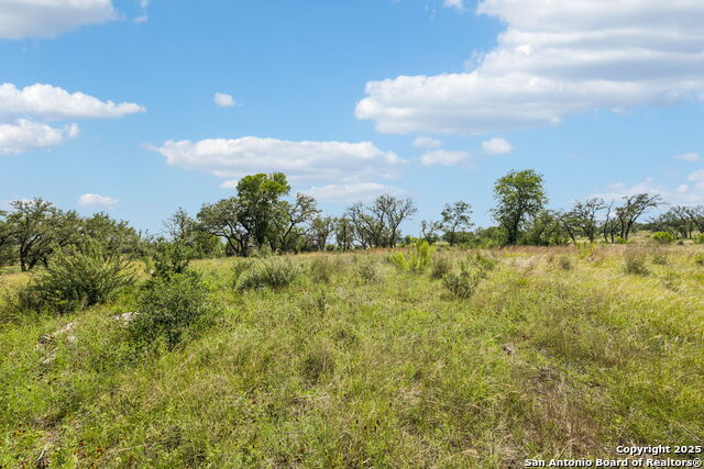 Listing photo id 36 for 000 Seep Springs Drive