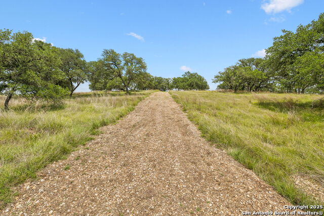 Listing photo id 8 for 000 Pitre Springs Road