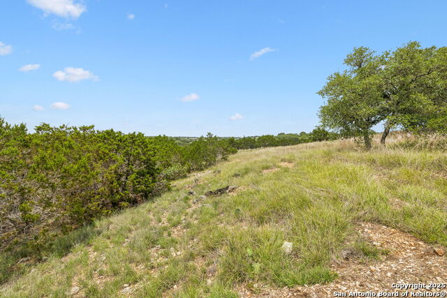 Listing photo id 9 for 000 Pitre Springs Road