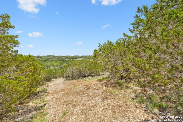 Listing photo id 10 for 000 Pitre Springs Road