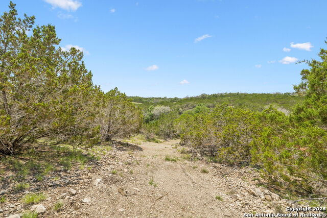 Listing photo id 12 for 000 Pitre Springs Road