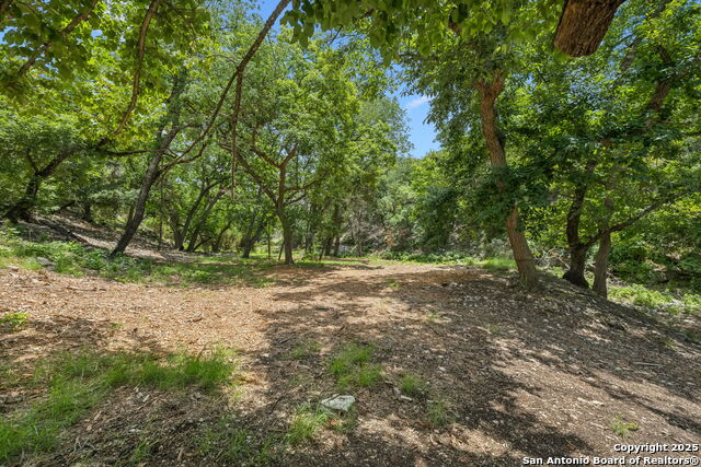 Listing photo id 14 for 000 Pitre Springs Road